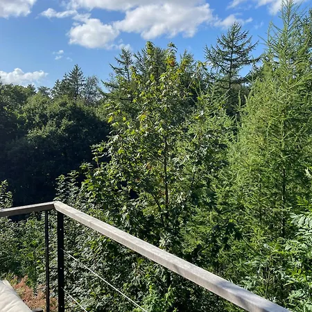 Forest Near And Mols Hills Charms